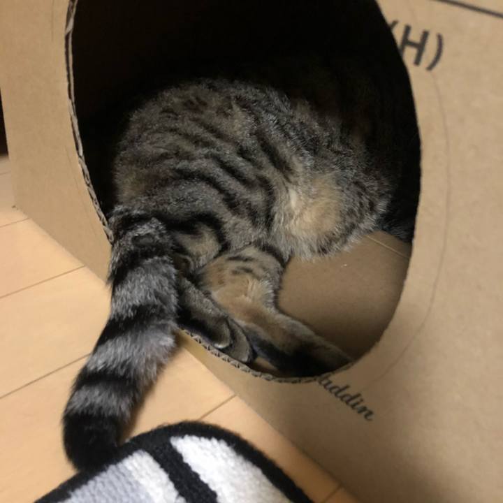 8be1eb1a a03a 4226 af96 b790a9244cc4 1598476693562