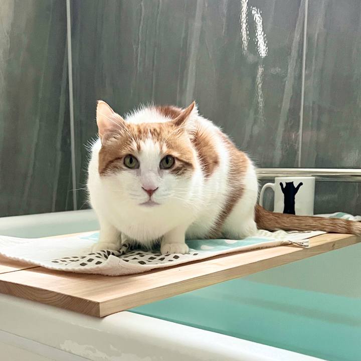 8be1eec7 cf29 4c69 96fc 86d01ba18d23 1769908217529