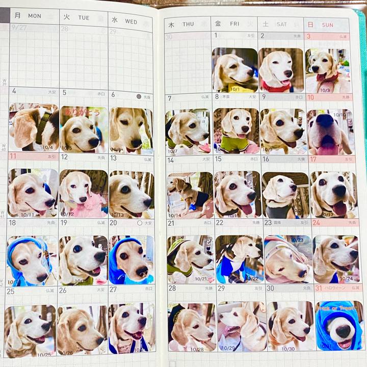 8be220e1 0a93 46c8 b366 a96db959cb62 1638712973772