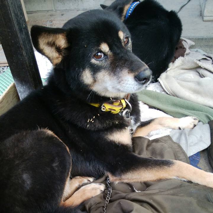 8be25a03 1b07 457e b40c 3efe4ba6478d 1512269060466