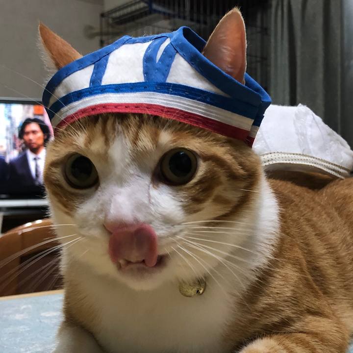 8be25f20 dda4 4592 889d 89dede251018 1570186820781