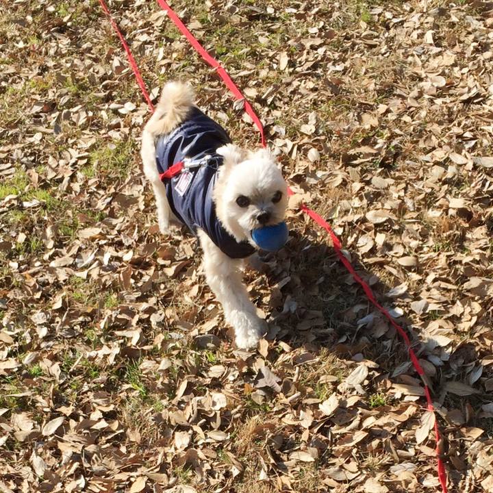 8be288b7 9fe9 4058 8aa0 b1b3d17554c0 1549181380910