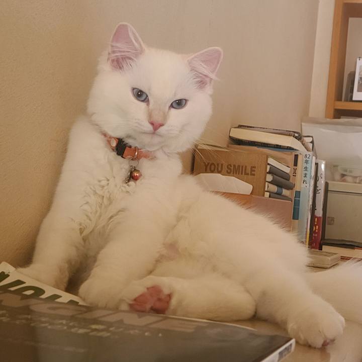 8be28ada 440d 48a0 a187 79688e6b8a68 1659498102235