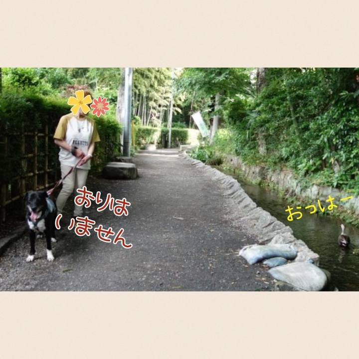 8be28f7c 3ac8 4a66 a2df 9233b4a9cbfe 1716511965295