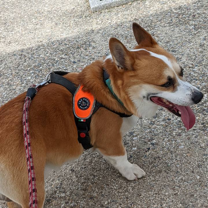 8be2917c a61f 4ef3 99eb bde53543602e 1684388824997