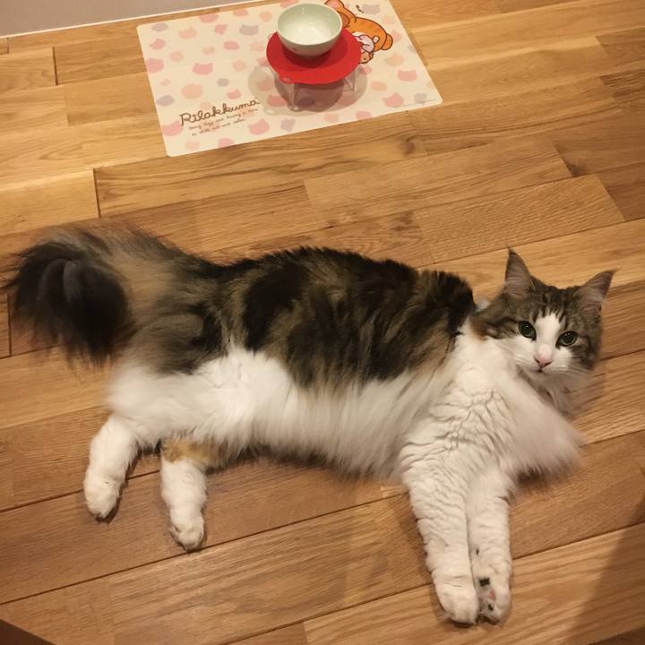 8be29e85 c21a 4cd6 b30f f30fc1cfd27e 1532704824082