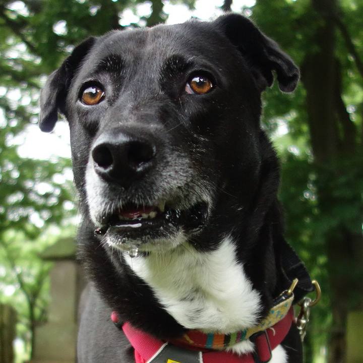 8be2a477 a64f 4c46 bb71 ddc8a18a2fb9 1686703351822