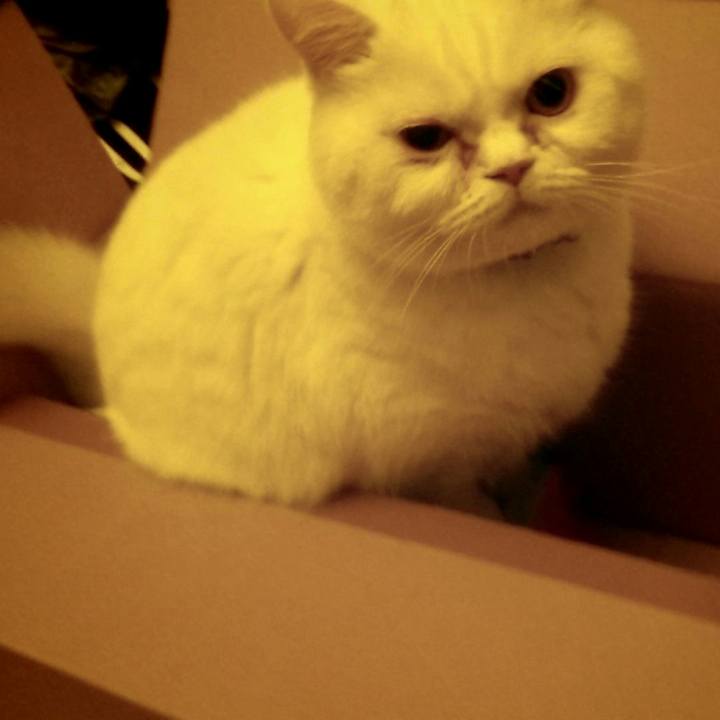 8be2d610 95b4 43c1 bfb3 bc66f4e9232c 1555499577102