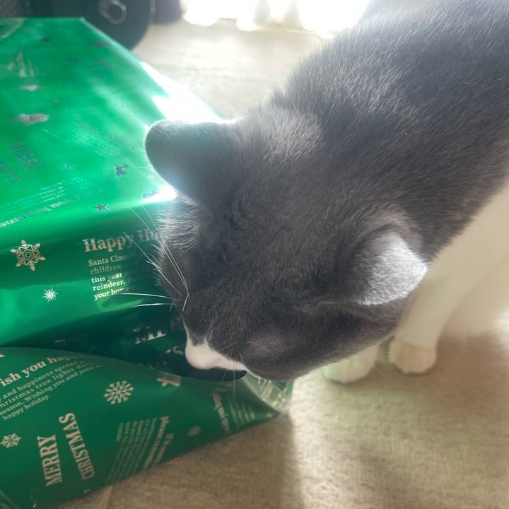 8be2da6a dad7 42ce 850d 95a2b192700c 1735091503995