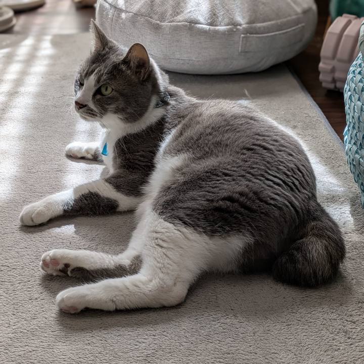 8be2e140 7e1a 40cd 9b18 f37ab11470fc 1741317862771