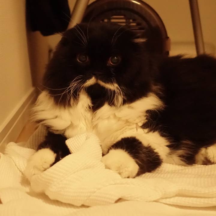 8be32544 f5df 40ca 9383 c2f6b1f2c4e2 1515379258019