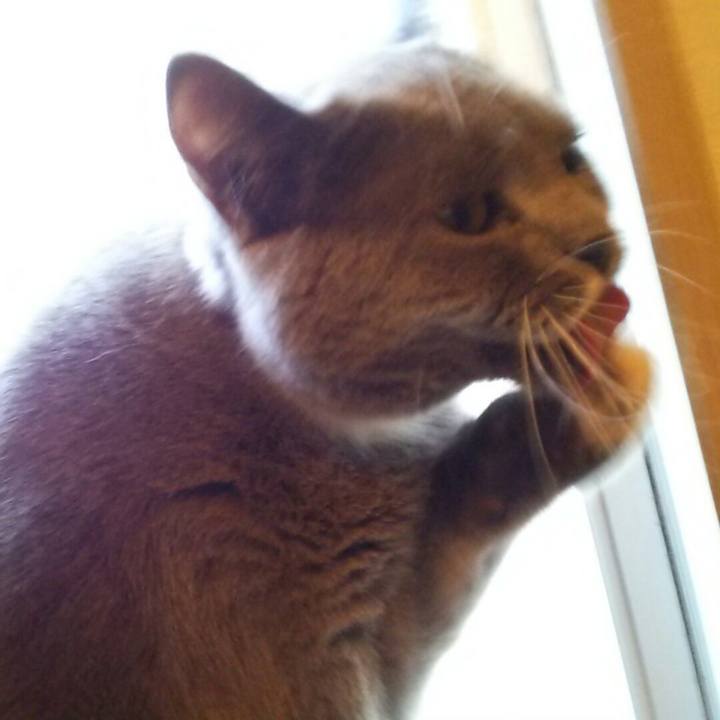 8be35327 c372 4fa4 ac20 e3f465061b51 1595303793983