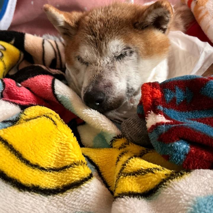 8be37be0 8f47 47d5 831b f05684f9bfa9 1765946946073