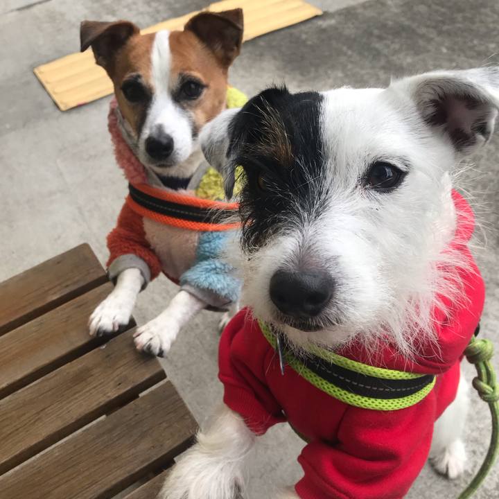 8be384c6 3e8a 4137 aec8 ac28fb126dba 1544401326855