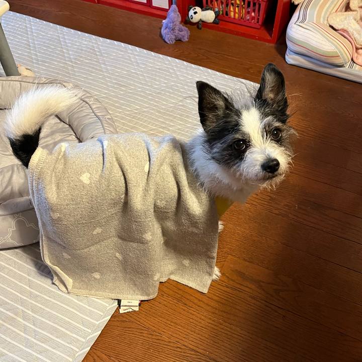 8be3c149 8330 4468 a408 3b2e68ef49a2 1717113090887