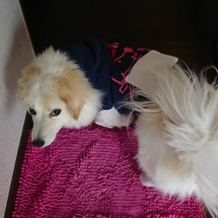 8be3ea25 718b 4b7e 8297 c4defb35002f 1514694818816