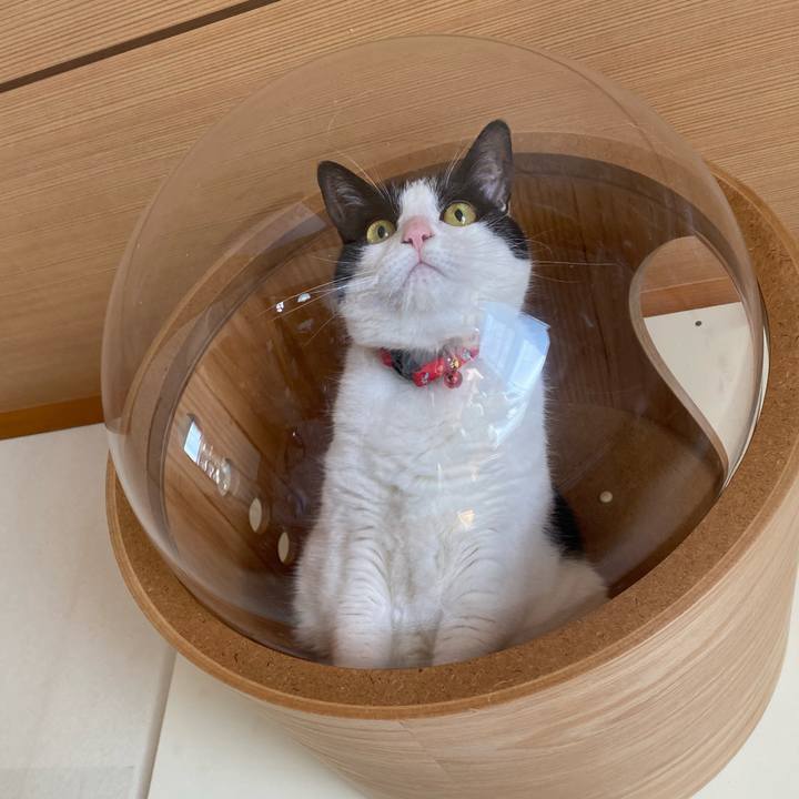 8be45078 c6b4 4343 9844 8fbe36afc322 1649721741452