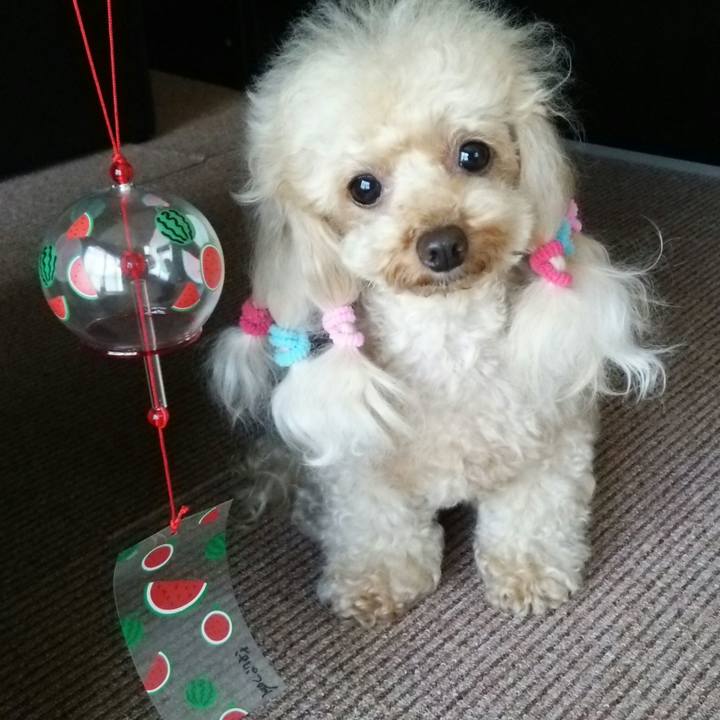 8be45247 c152 4dd9 b39d ad6c97a26beb 1532668068579