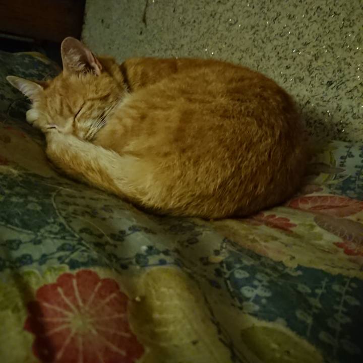 8be4674f 45a4 4cfa 8194 5d4760d25b0a 1594732527839