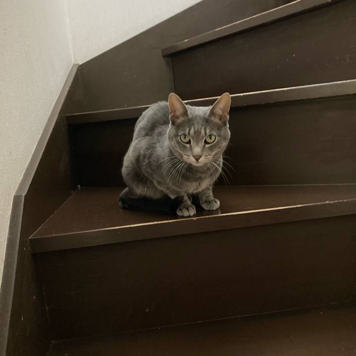 8be4d192 7de2 424d ac2f dfc3d4684f52 1651544866268