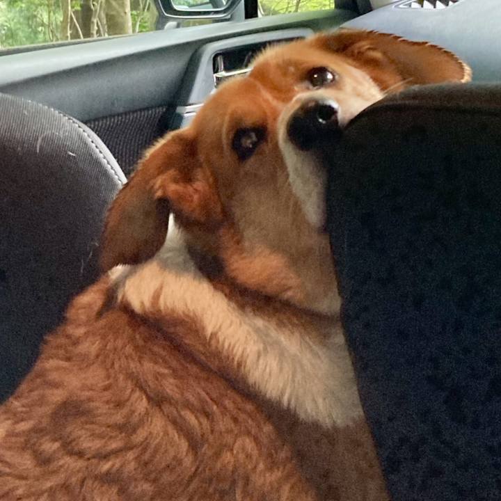 8be4d28c f67a 4c4d 9538 150ce112ef74 1716082500804