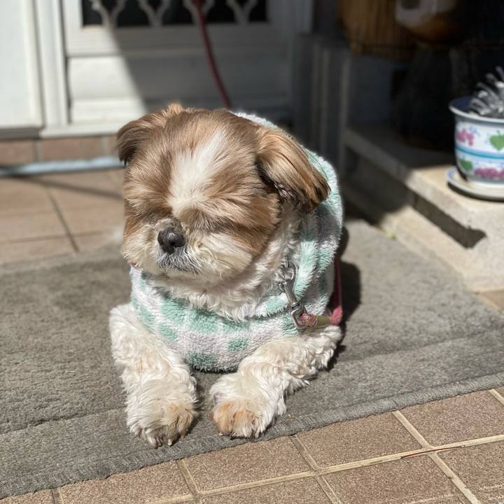 8be4d9bb 425b 4653 b211 9a0b2a252ab7 1645583503277