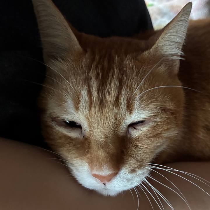 8be554b0 9755 4152 89e3 dee2f192f966 1760168441186