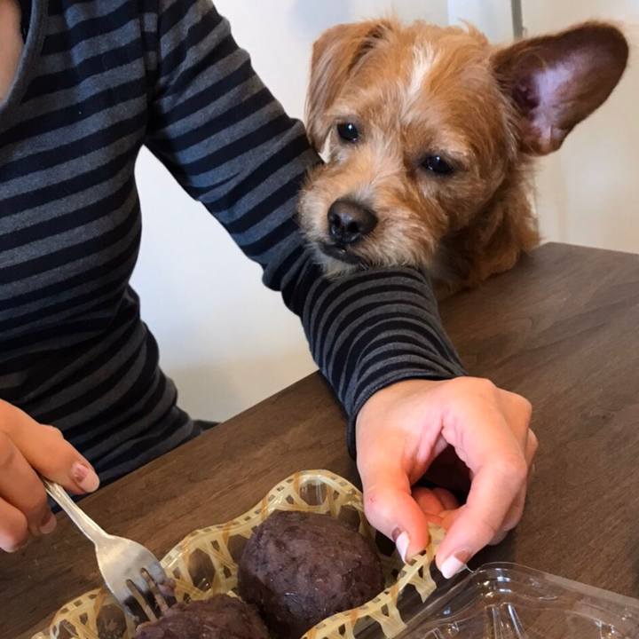 8be5970d ddb5 43ed bb8c d7cde36b183f 1571805381049