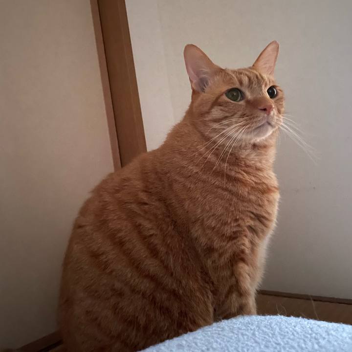 8be5ae06 d295 4bf7 805f d3341370f36d 1669546634190