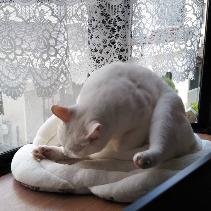 8be5b803 0f97 4579 8680 56637dab9481 1578466336540