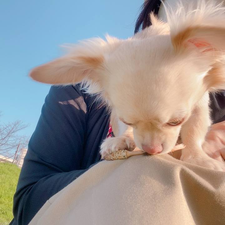 8be5bda0 9a8f 4fa7 9e62 70ffec769ebb 1615889222687