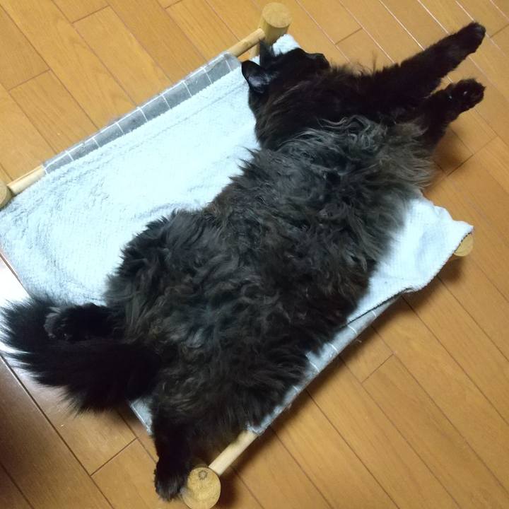 8be6bf2c 116d 4c9b 8001 6c7ba4ab82a9 1709120575461