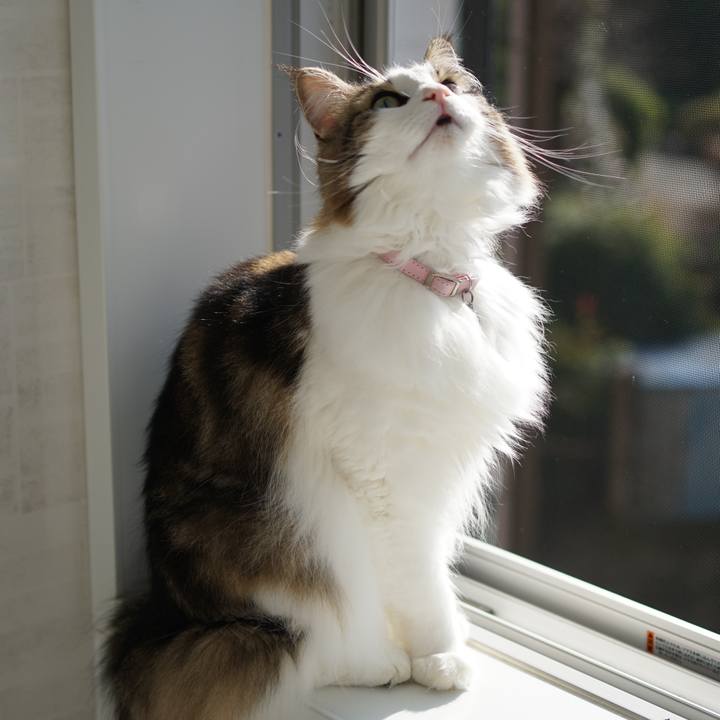 8be6f536 456e 48fb 9d0b 61a30b69f5d1 1576643946857