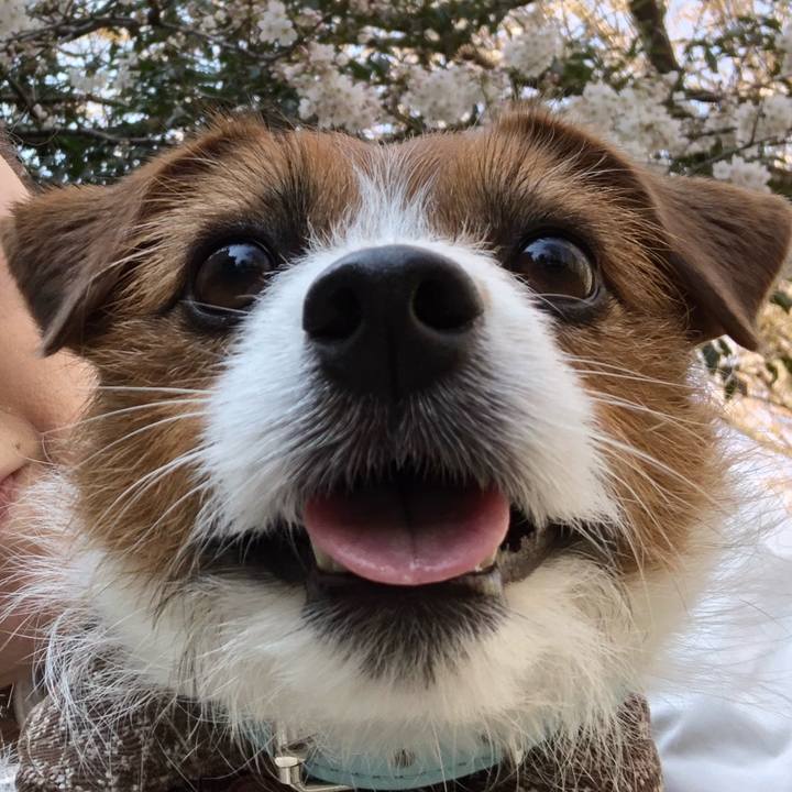 8be74267 d701 4fef a2b7 d0892b7d8a4d 1521951756722