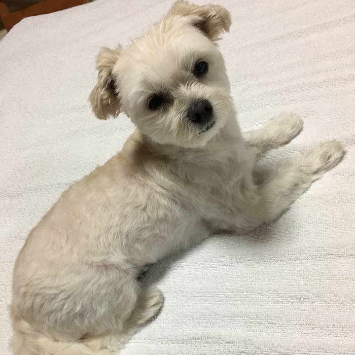 8be74707 7aff 469b 83ff 645c77f16aad 1561457773166