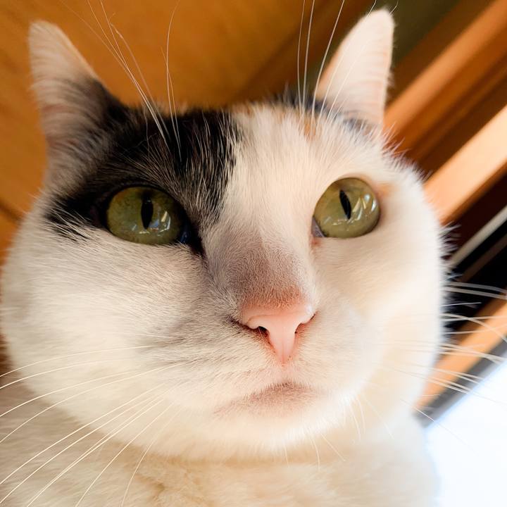 8be7c686 0b29 4c09 a1cd 6b9958629218 1586222929988