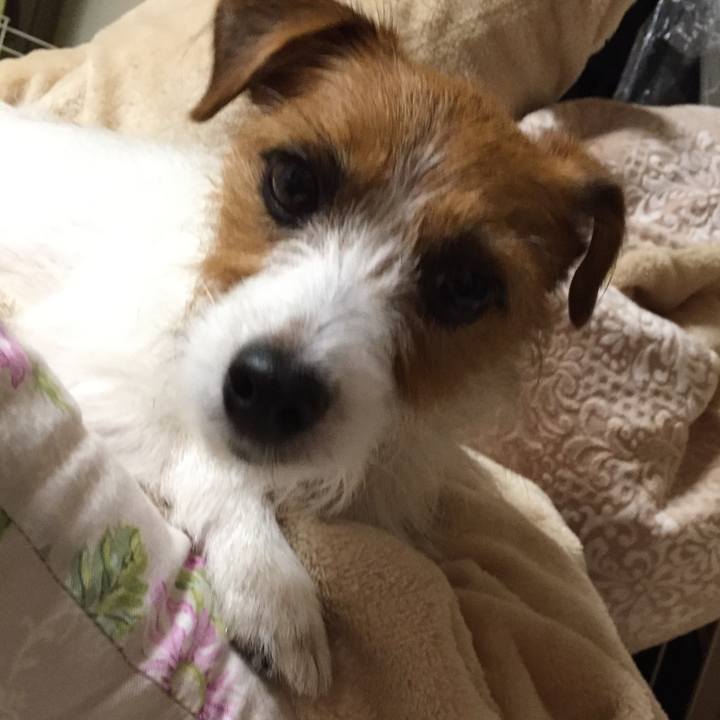 8be827f8 af93 4aed a904 dc96265dfcfe 1509718883923