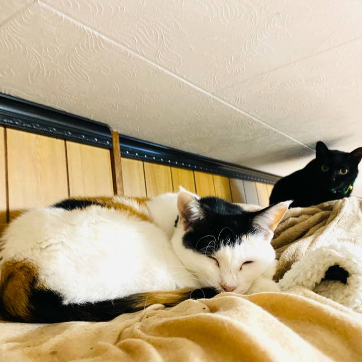 8be85fd4 8c60 400b 873d ccb104e5899a 1673904923975