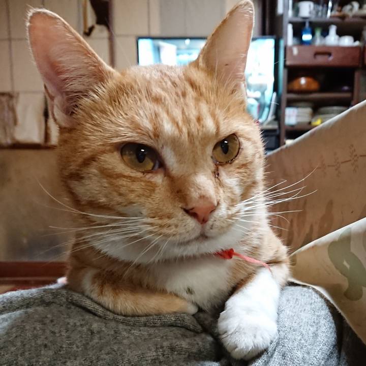 8be88557 5ac3 49e8 8ef9 a3e190e15850 1571576127973