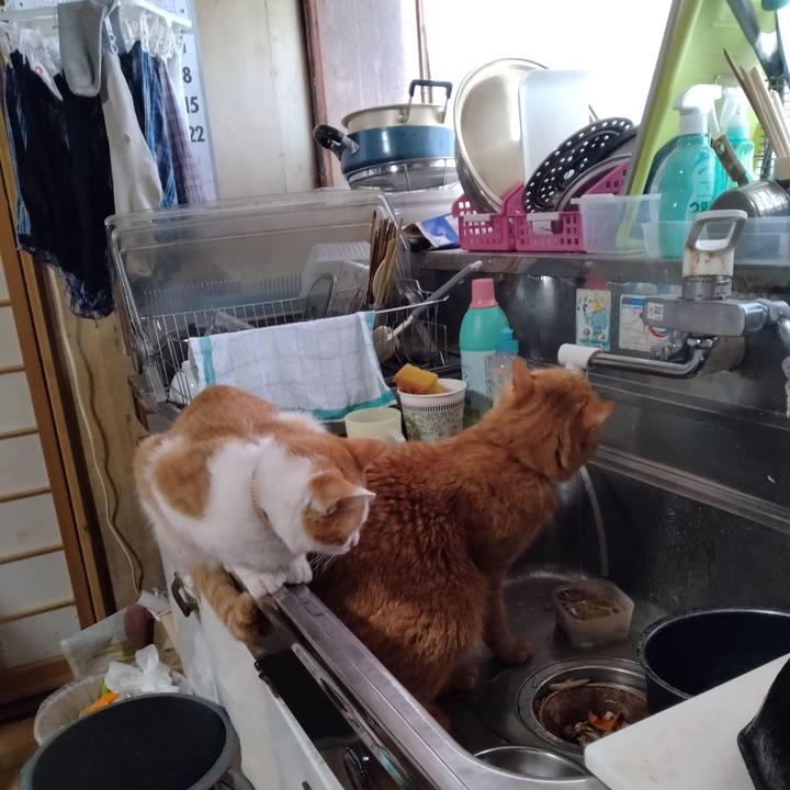 8be88f54 3a0f 4090 8967 903f76c7433b 1739314162136