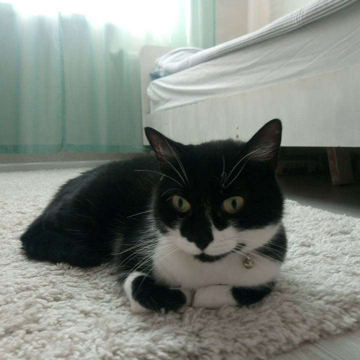 8be8c643 0a41 4fce bcd5 ea151b984745 1561814478934