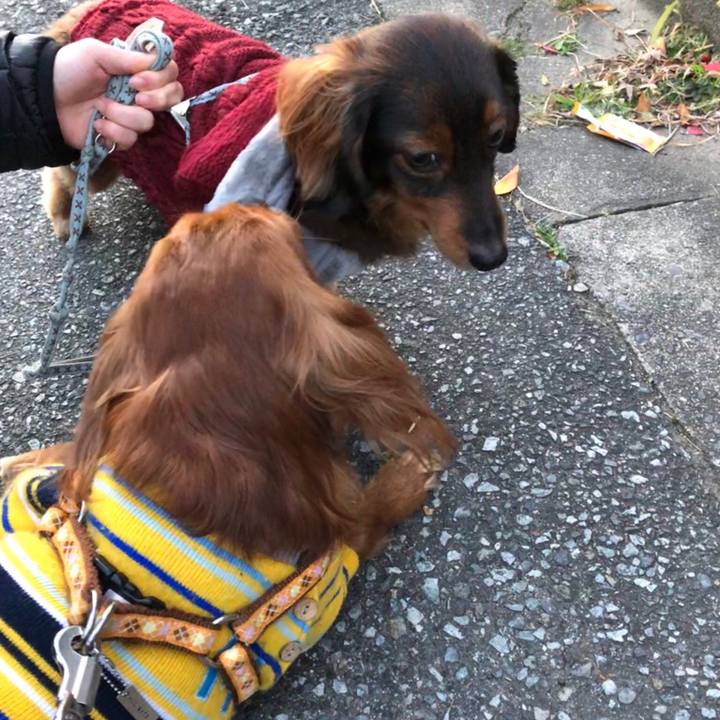 8be8dc94 bbc3 46d6 b7ec d382767e1b91 1547464156647