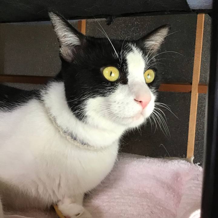 8be8e23d 644c 4475 9fda a37115c465e3 1659438587219