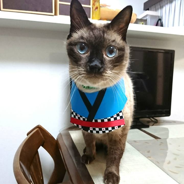 8be8eeb7 6630 47ea 8b00 33240a7962f4 1533332425337