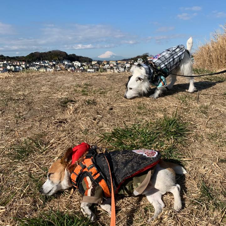 8be8fa1f 6524 4bf6 a12a bbd505c5cc3c 1643678451293