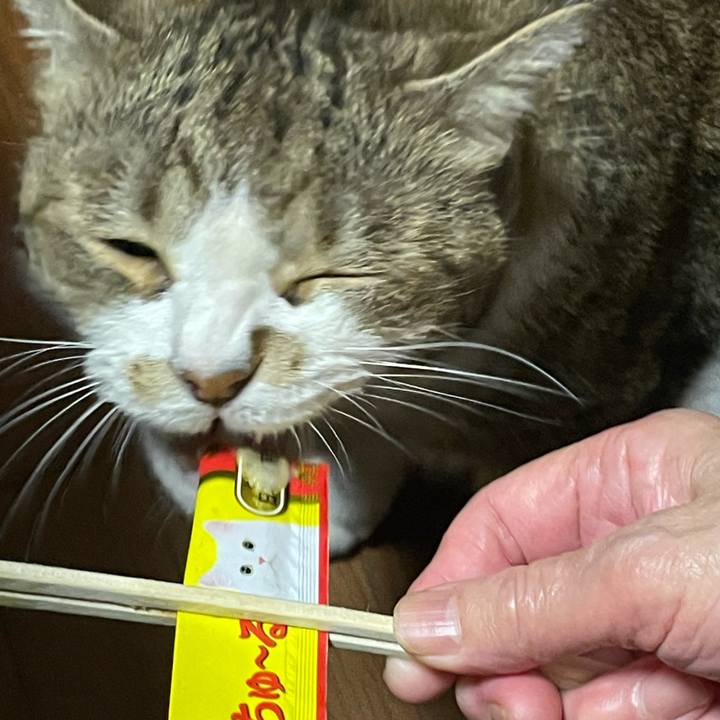 8be90683 dc27 4928 8f08 70acc844f4bb 1628602310866