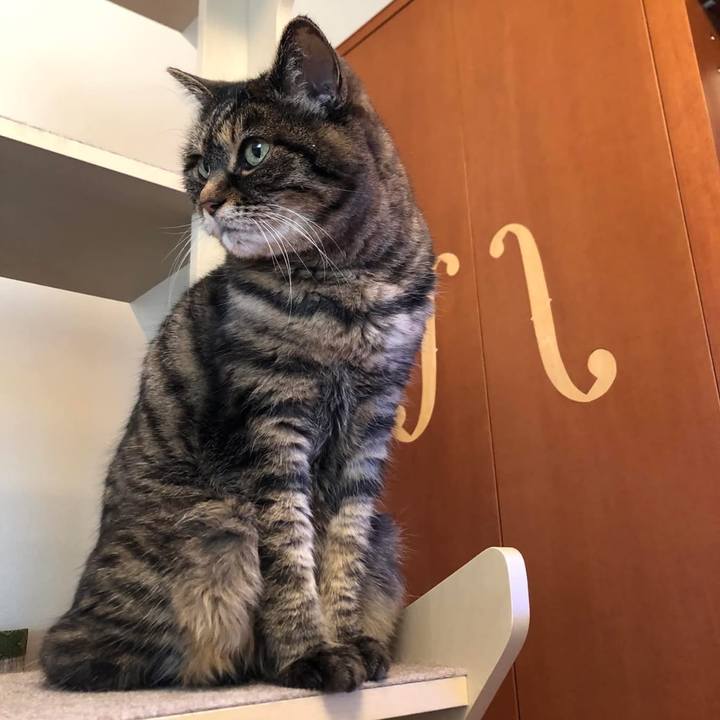 8be9127f 9967 4145 9bd1 49f26b567003 1770882288534