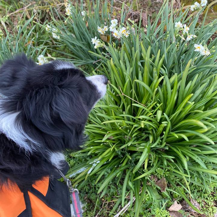 8be91d8e 3237 4f06 8c4a d59e0f2118ed 1607987990187