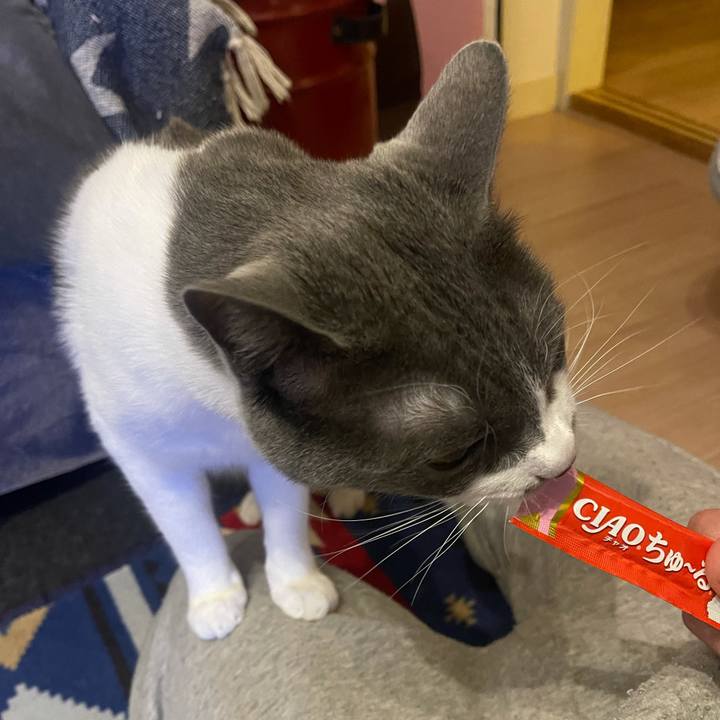 8be92099 48ad 4011 ade2 8f44ec5b189e 1645270555064