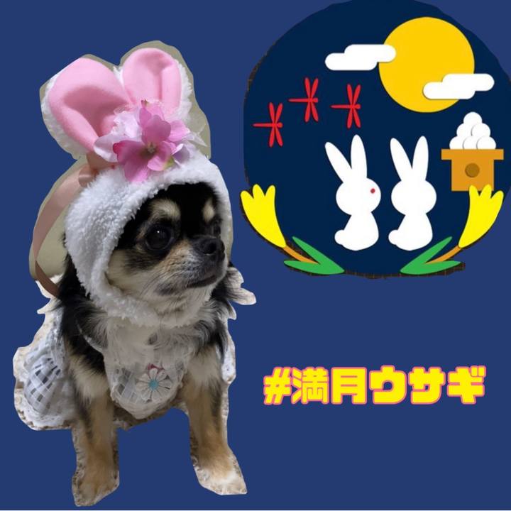 8be9280a 5d82 426f a8a1 6764891b3ff2 1662790085584